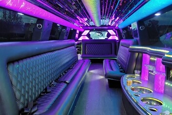 Palm Coast Limo Interior