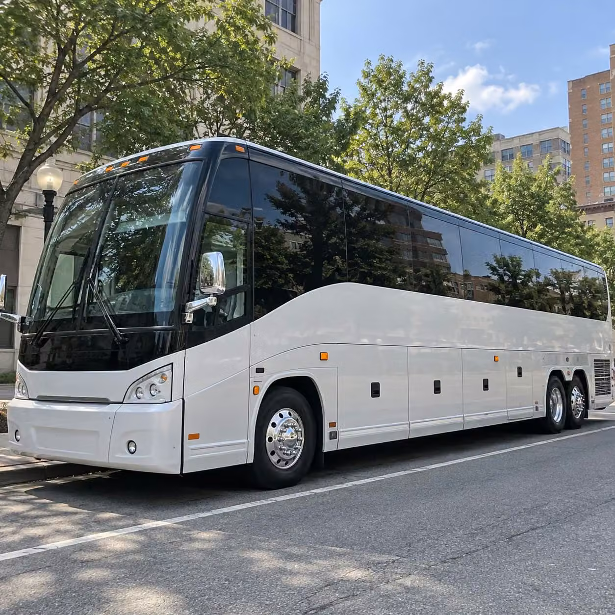 palm coast prom homecoming bus rentals