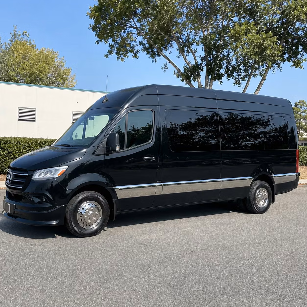 palm coast sprinter limo rental